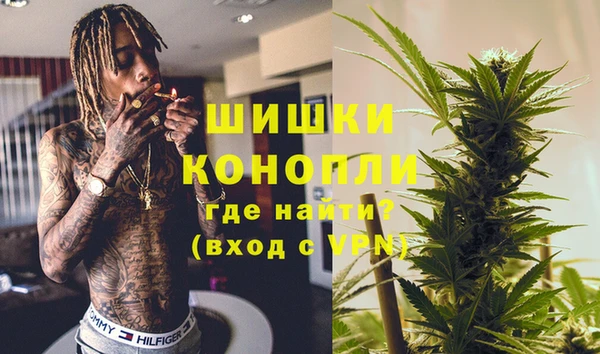 ПСИЛОЦИБИНОВЫЕ ГРИБЫ Вязники