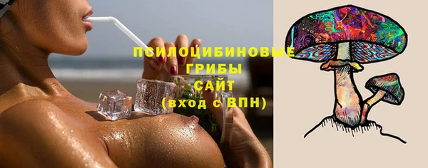 ПСИЛОЦИБИНОВЫЕ ГРИБЫ Вязники