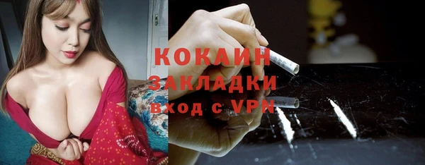 ПСИЛОЦИБИНОВЫЕ ГРИБЫ Вязники