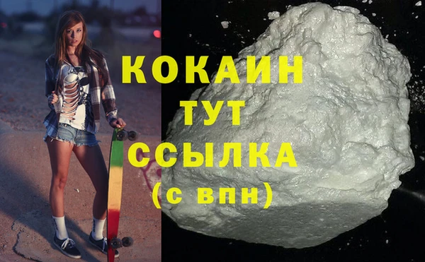 ПСИЛОЦИБИНОВЫЕ ГРИБЫ Вязники